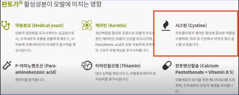  탈모예방 및 모발건강 영양제