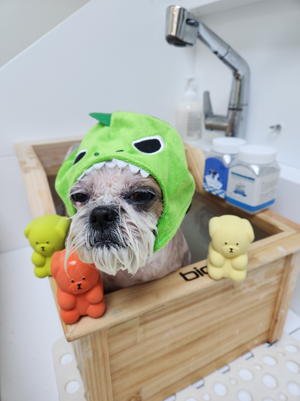 아름스파 이미지