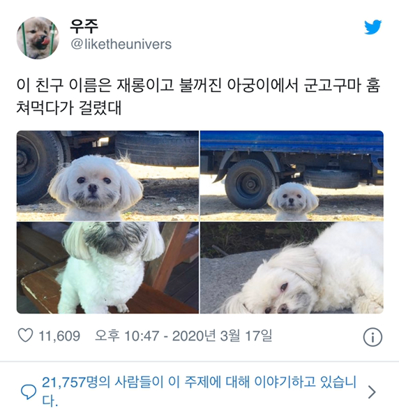  아궁이에서 군고구미 훔쳐먹다 걸림