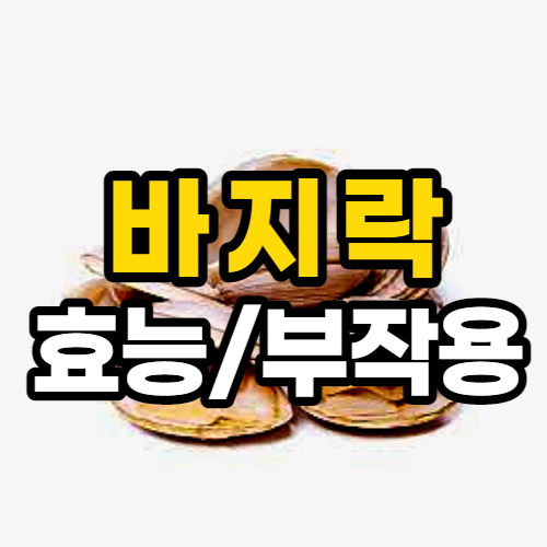  바지락 효능 10가지 및 부작용, 바지락 해감법