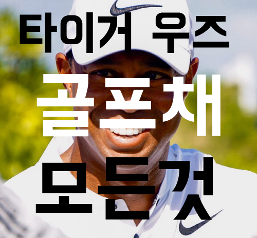  타이거 우즈는 어떤 클럽과 공으로 정상에 올라갔을까??