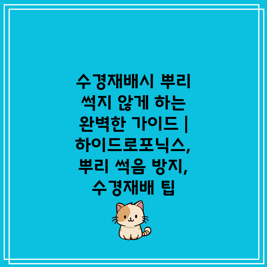 수경재배시 뿌리 썩지 않게 하는 완벽한 가이드  하이드