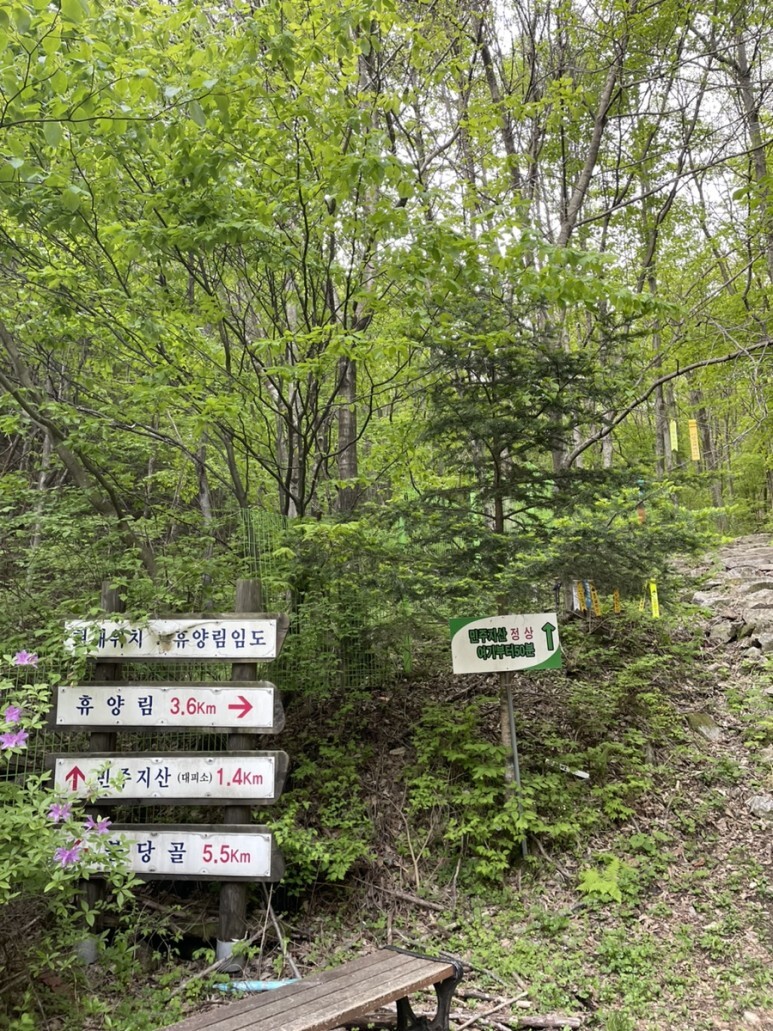 민주지산