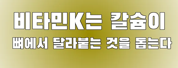  비타민K는 칼슘이 뼈에서 달라붙는 것을 돕는다