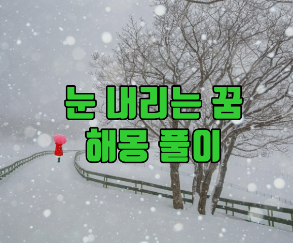  눈 꿈 해몽 해석 풀이 (내리는, 폭설, 하얀, 빨간 등등)