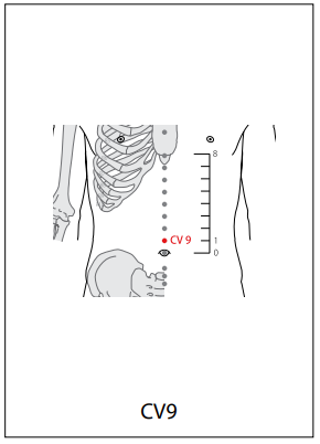 임맥 (CV) > CV9 수분 (水分) 1
