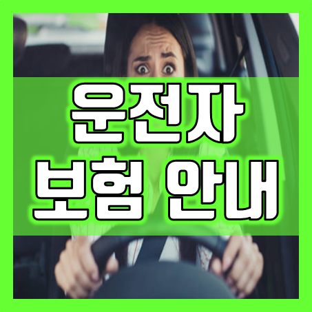  안전의 대장정, 고객님을 위한 특별한 운전자보험 보장내용