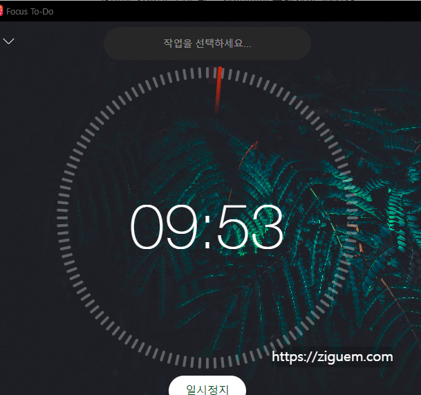 뽀모도로