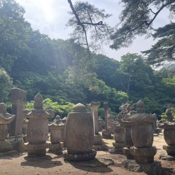 대흥사