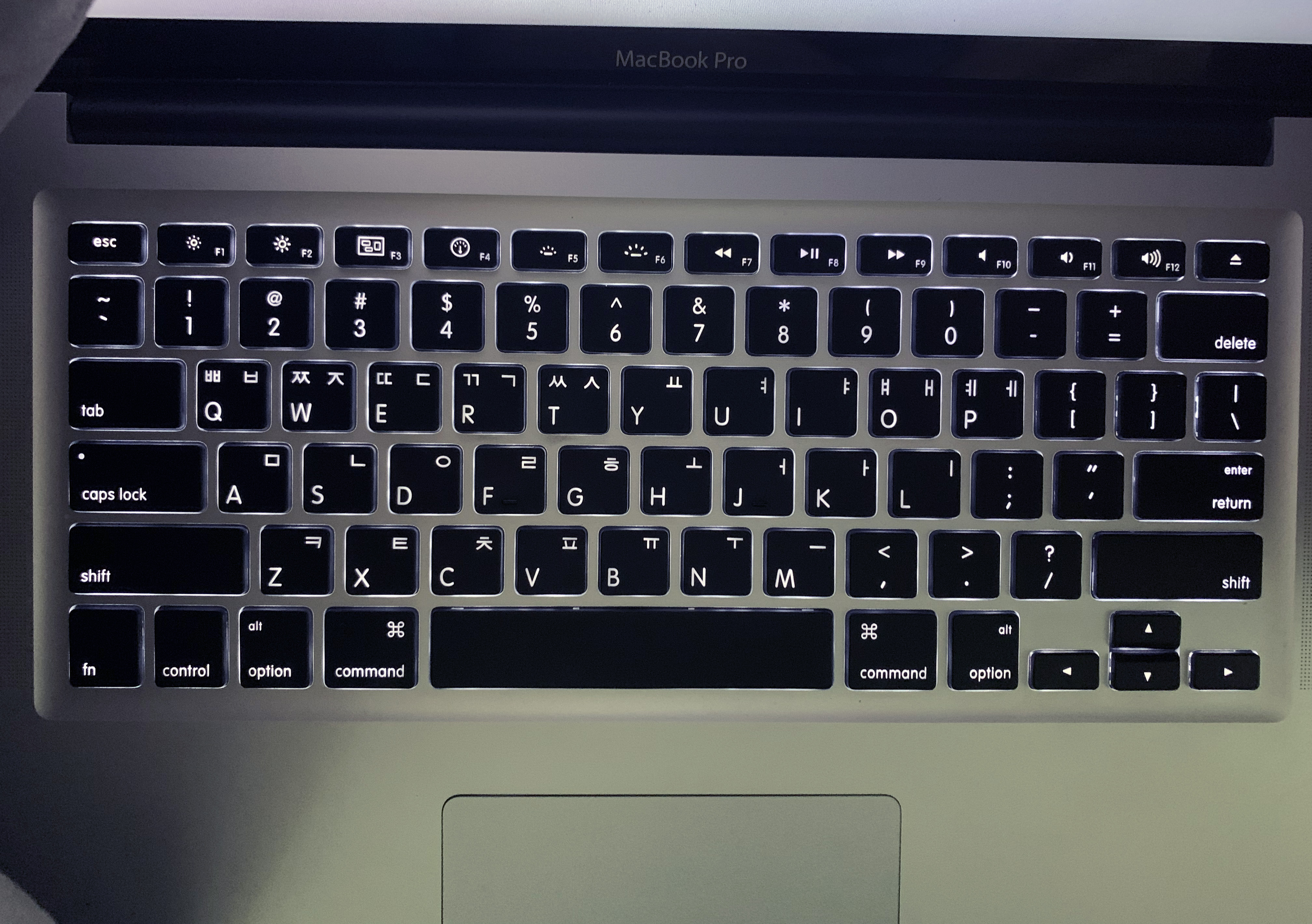 Apple MacBook Pro (15-inch&amp;#44; Mid 2010) Keyboard