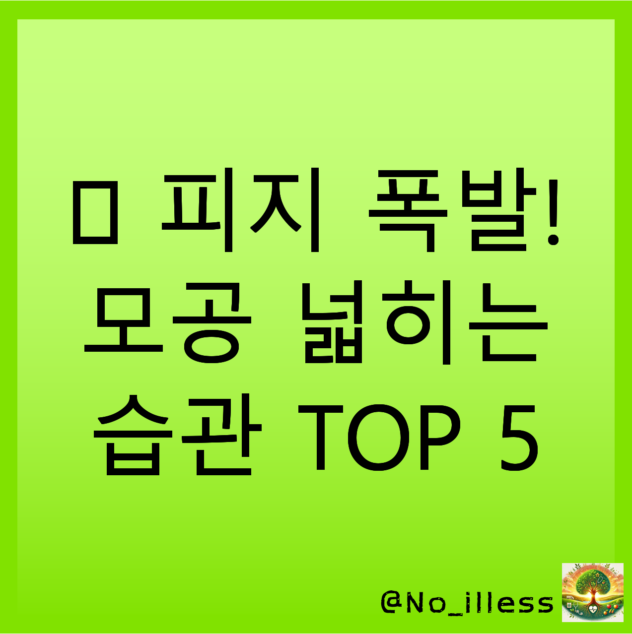 TOP 5 top-5