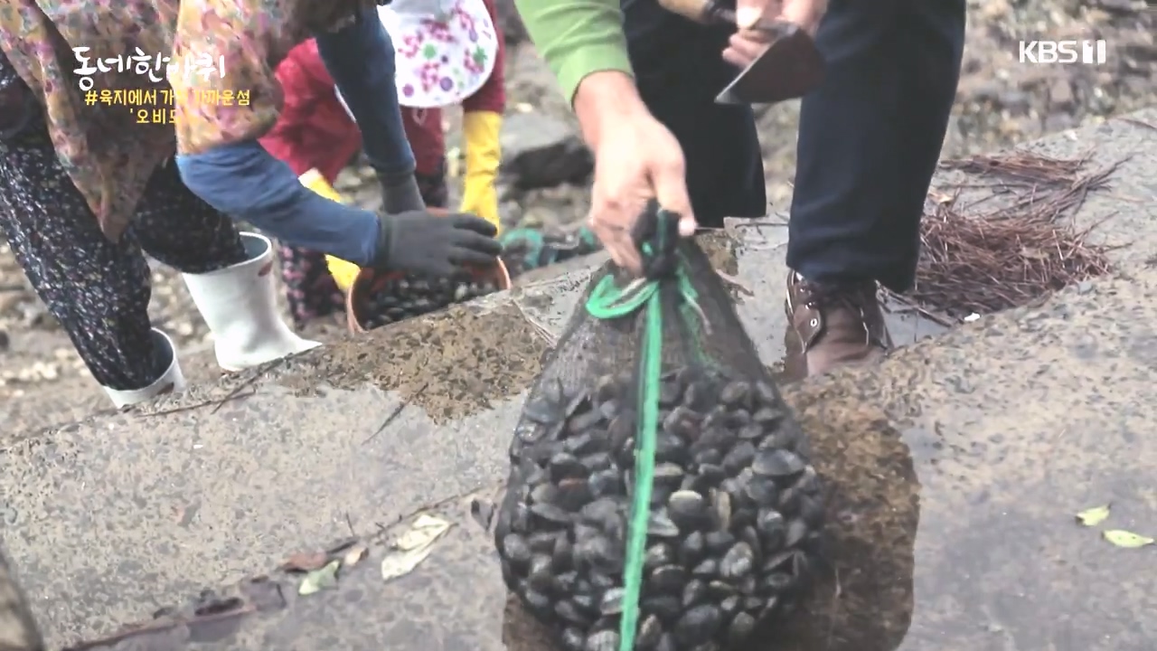 동네 한 바퀴.E243.231015p-NEXT.mp4_20231015_183714.982.jpg