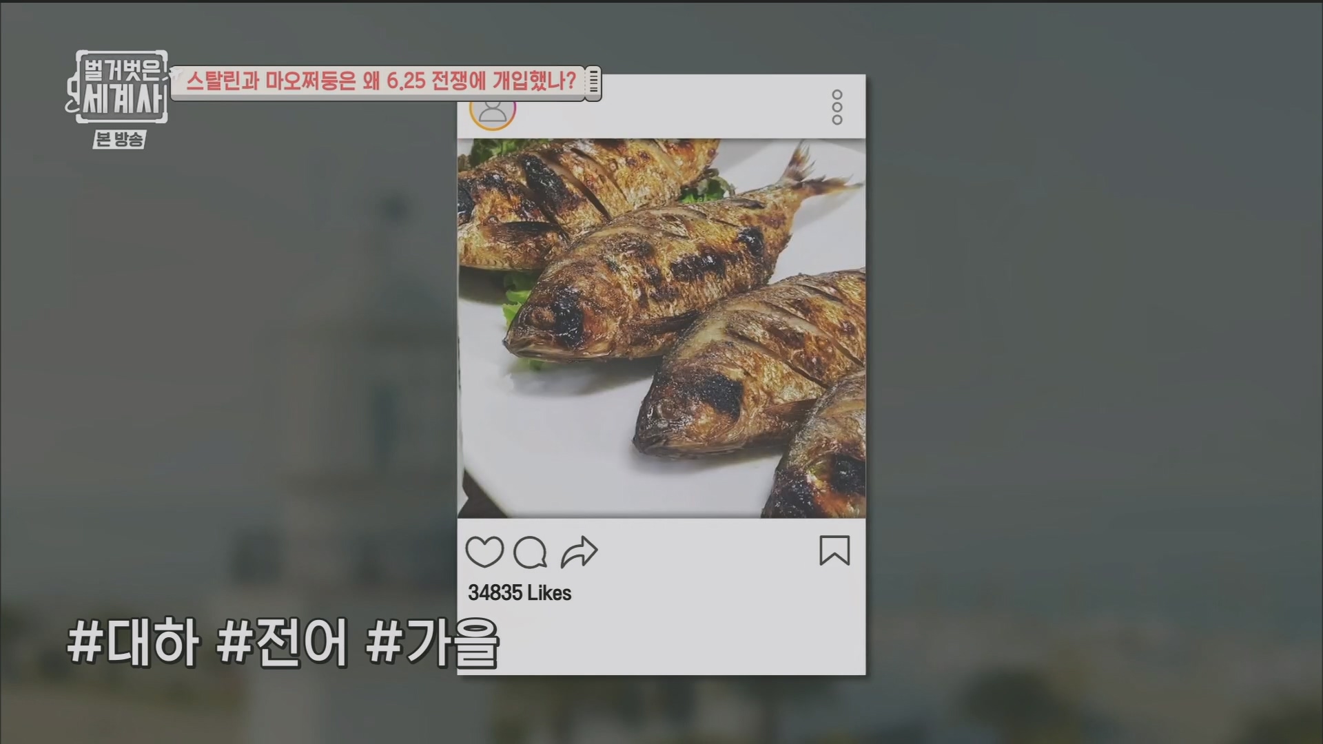 벌거벗은 세계사.E114.230829p.H264-F1RST.mp4_20240323_165557.369.jpg
