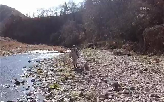[3회] 자연의 철학자들 - KBS새처럼 살고 싶어라] 자연이라는 위대한 법당에서 숲의 울림, 새들의 소리를 들으며 깨달음을 얻은 도연 스님.ts_20220320_153545.806.jpg