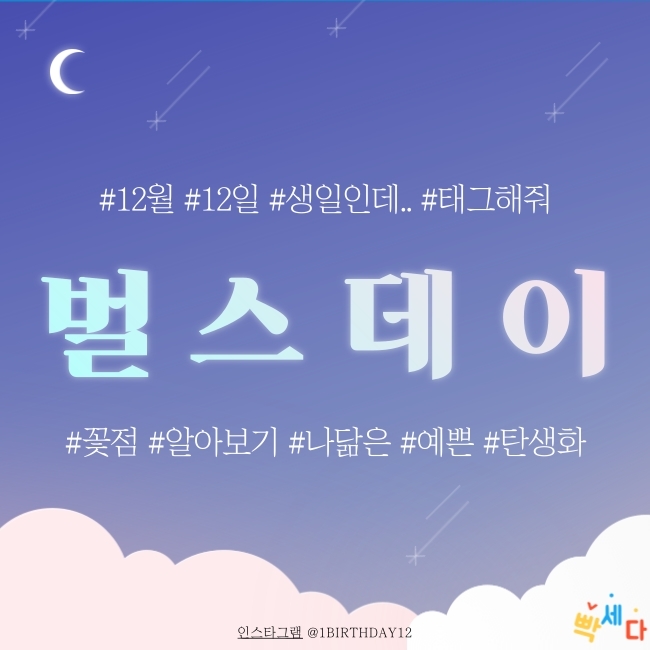  12월 12일은 무슨 날? 탄생화 탄생석 탄생목 12월 12일 탄생화는 목화 꽃점과 꽃말로 하루를 행복하게