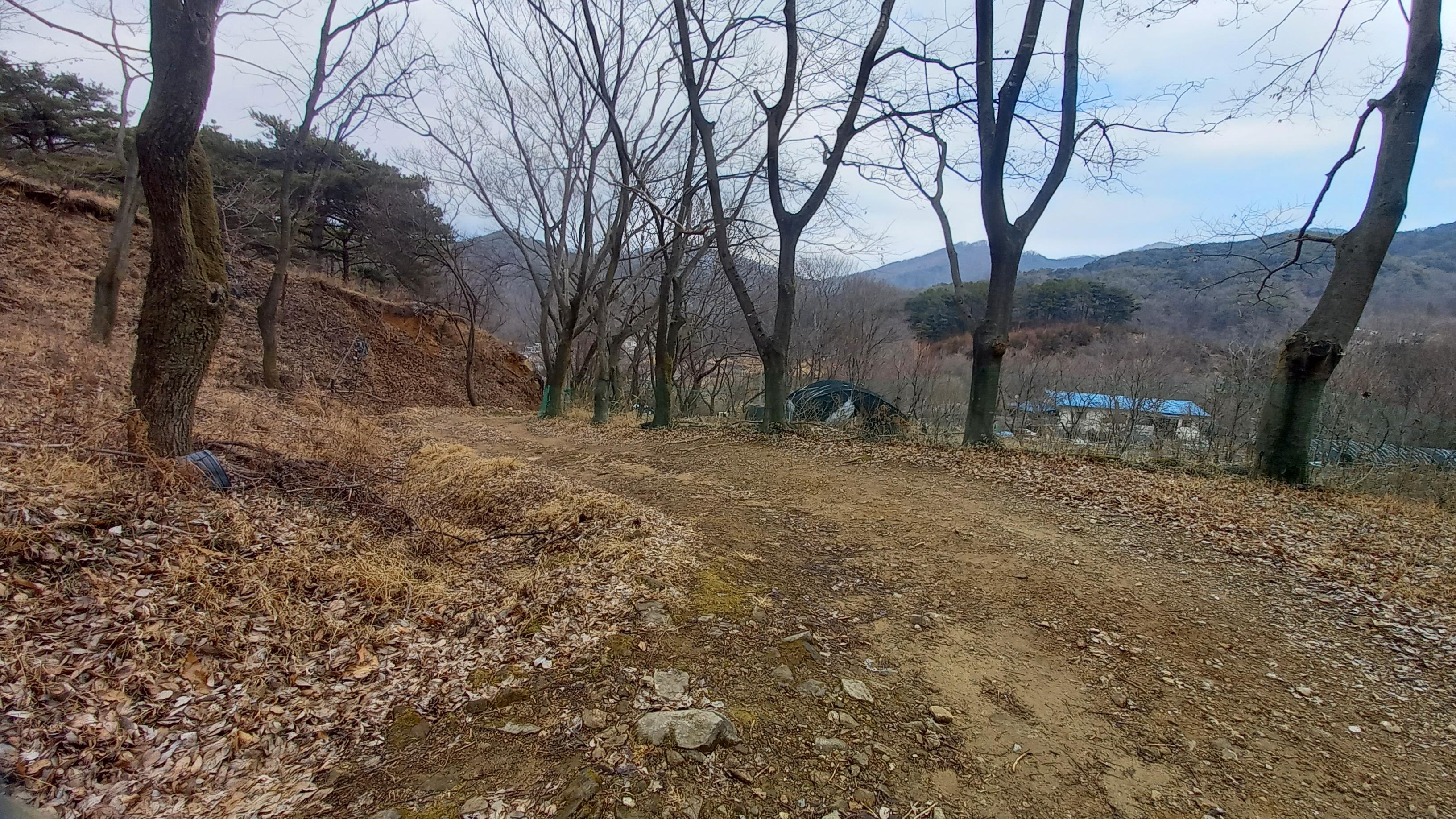 영상일기/20230216/나대자연 18