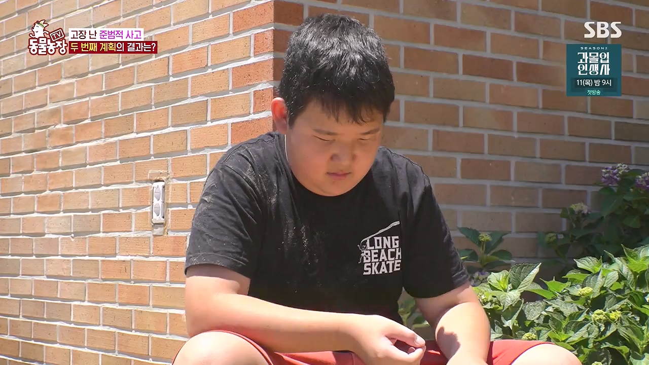 TV 동물농장.E1179.240708p-NEXT.mp4_20240707_160426.643.jpg