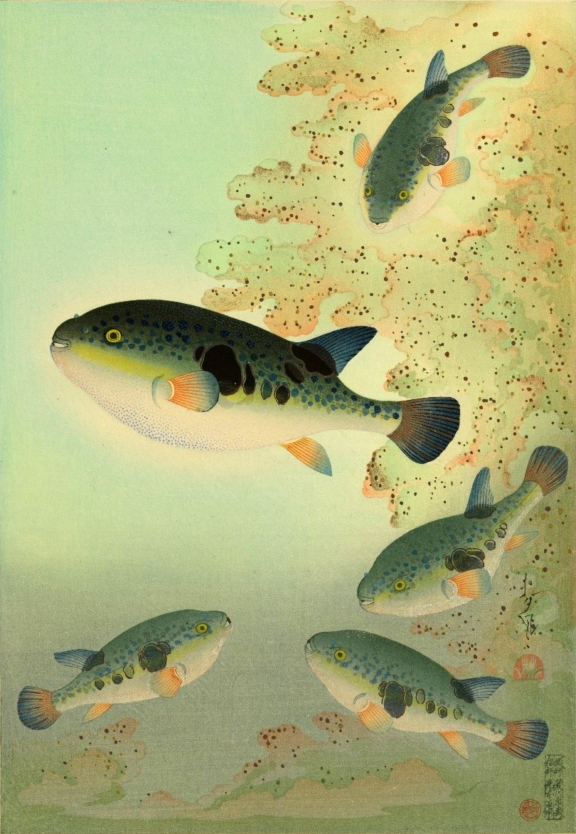 오노 바쿠후(大野麦風, Ohno Bakufu), 일본, 화가, 1888-1976