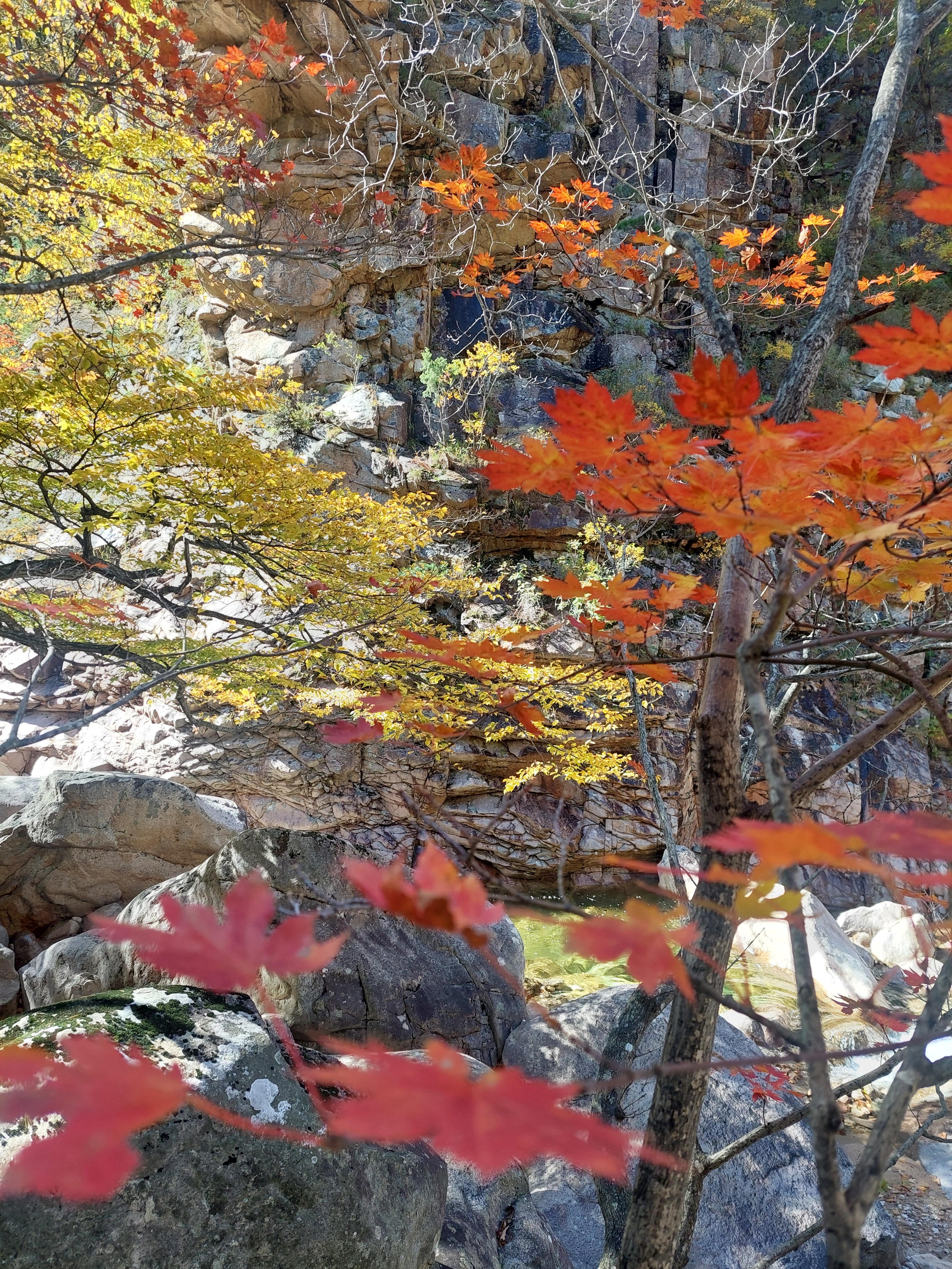 설악산