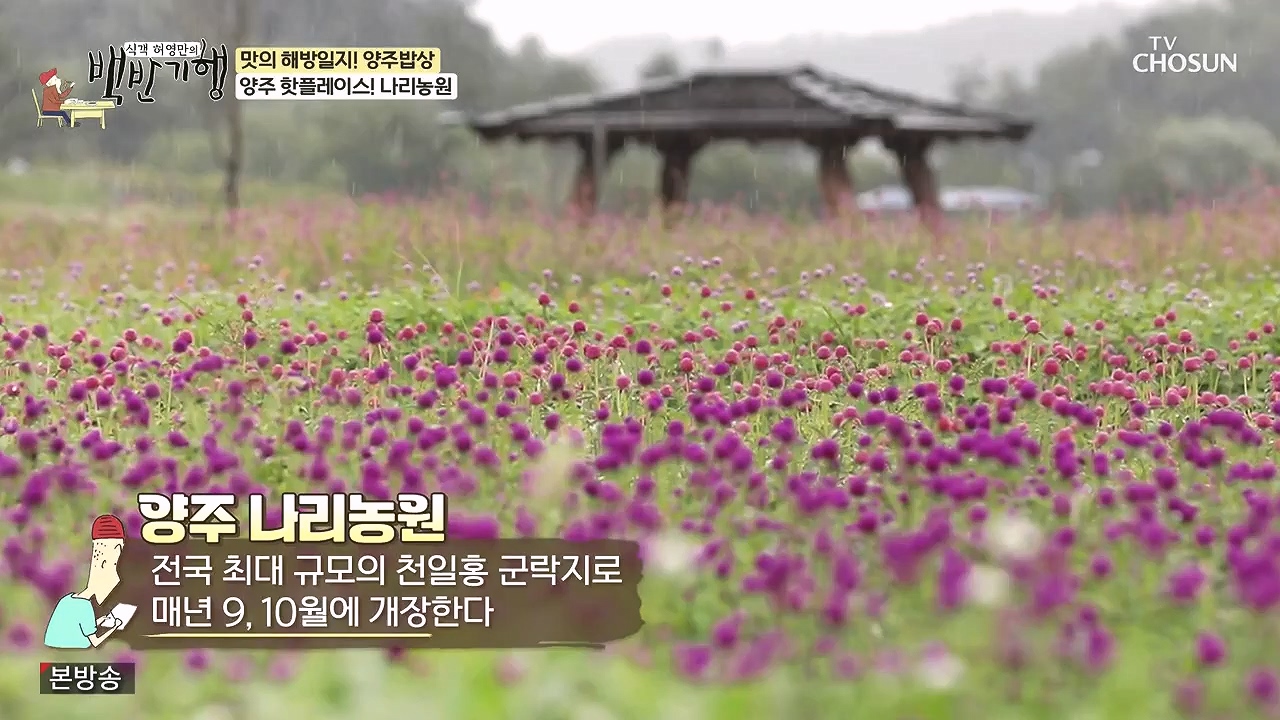 식객 허영만의 백반기행.E214.230902p-NEXT.mp4_20230903_170207.217.jpg