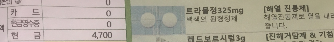  아이 열날 때 해열제 교차복용 간격