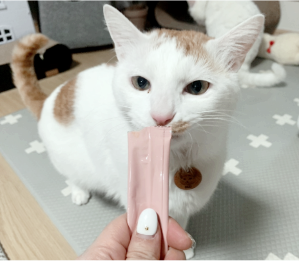 맛있냐?