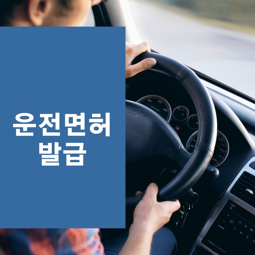  운전면허증 발급