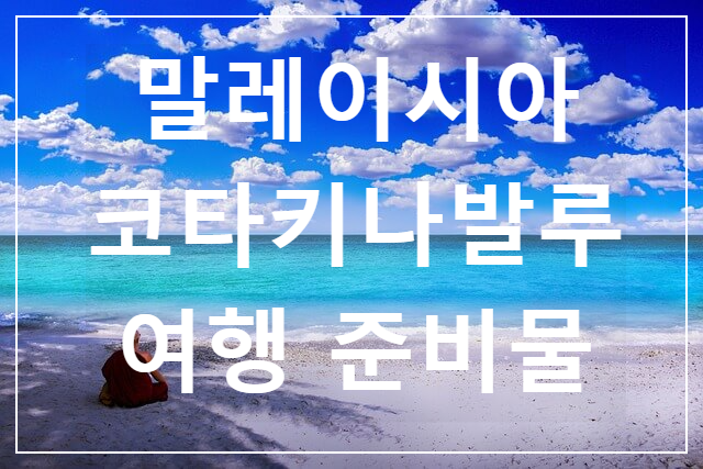  [2]코타키나발루 여행 통화-화폐-물가 / 여행 준비물 확인 / 전기-콘세트