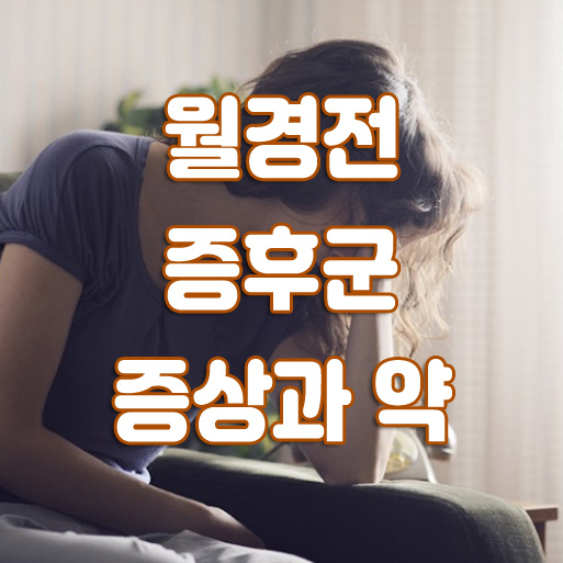  월경전(생리전)증후군 약 영양제