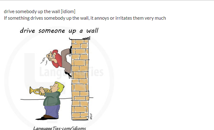  [영어] drive someon up the wall을 아시나요?