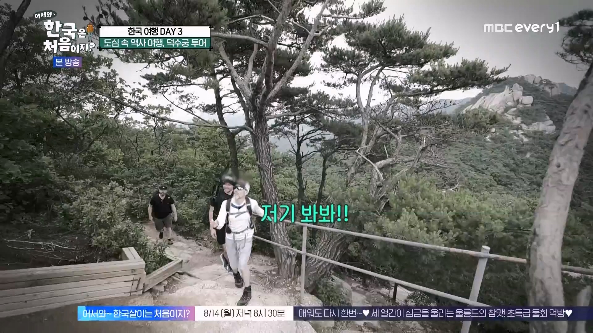 어서와 한국은 처음이지.E275.230810p.WANNA.mp4_20230811_204449.255.jpg