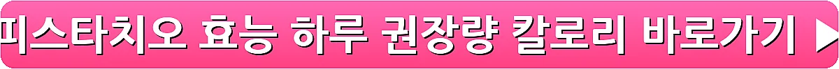 피스타치오 효능 하루 권장량 칼로리_12