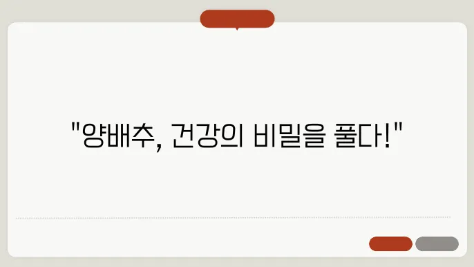 양배추의 영양적 효능