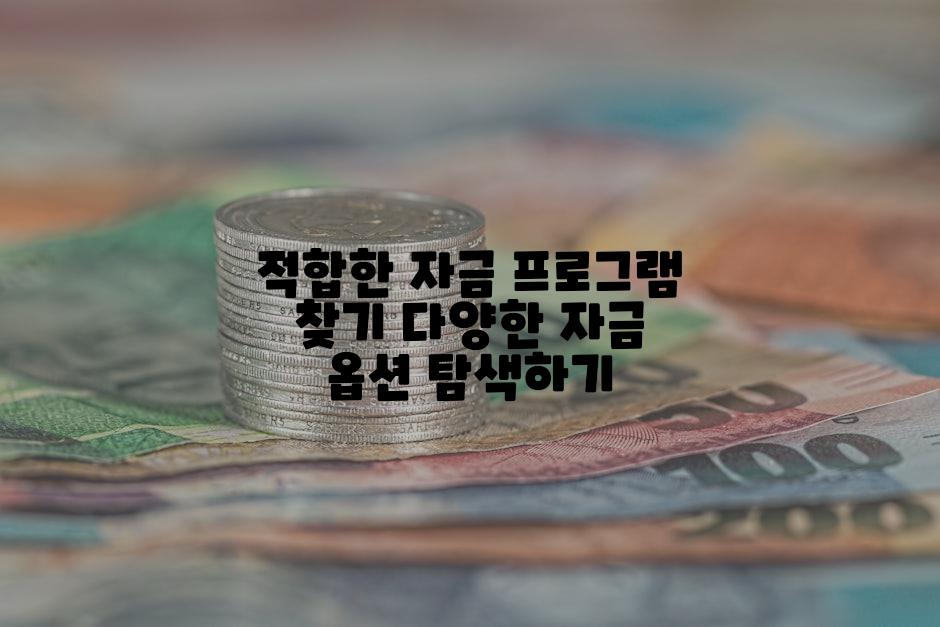 적합한 자금 프로그램 찾기 다양한 자금 옵션 탐색하기