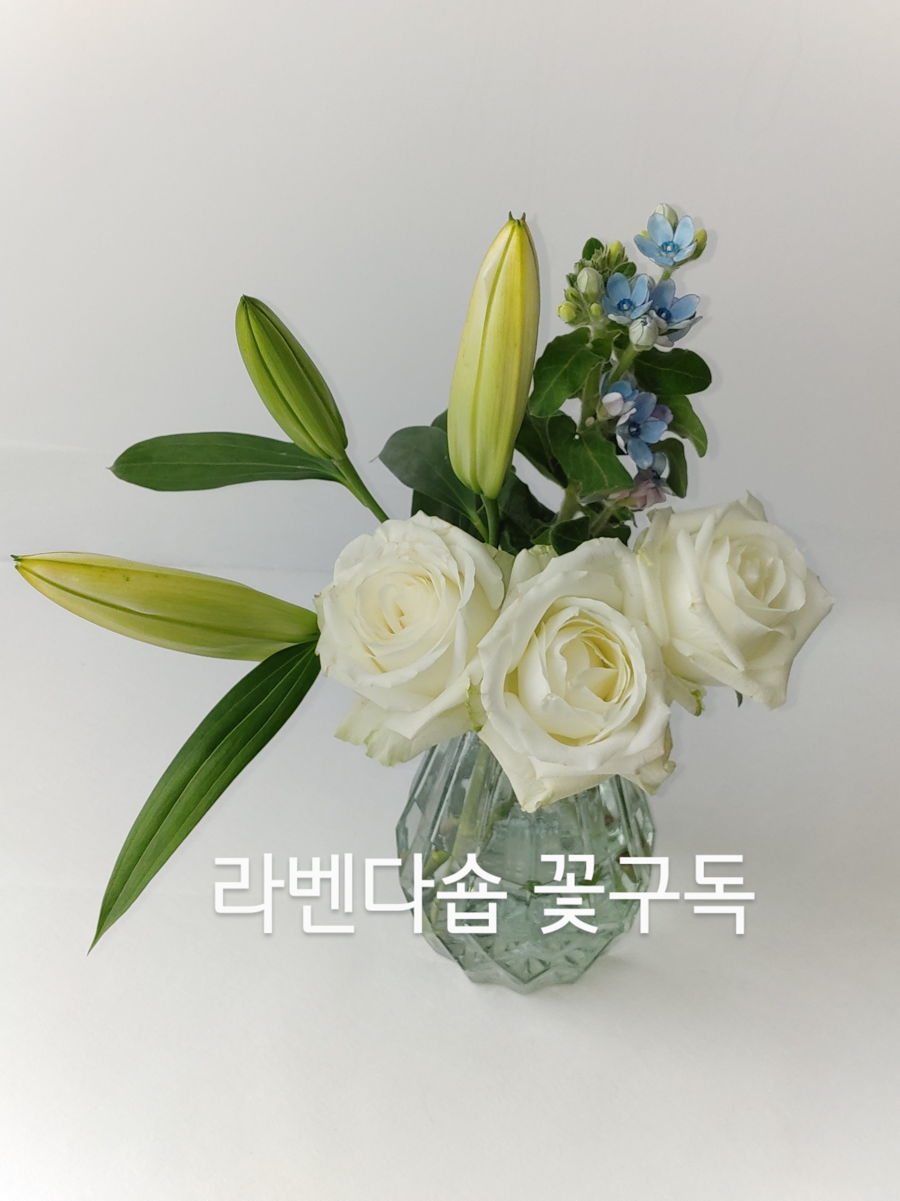  [라벤다숍]흰장미와백합꽃구독