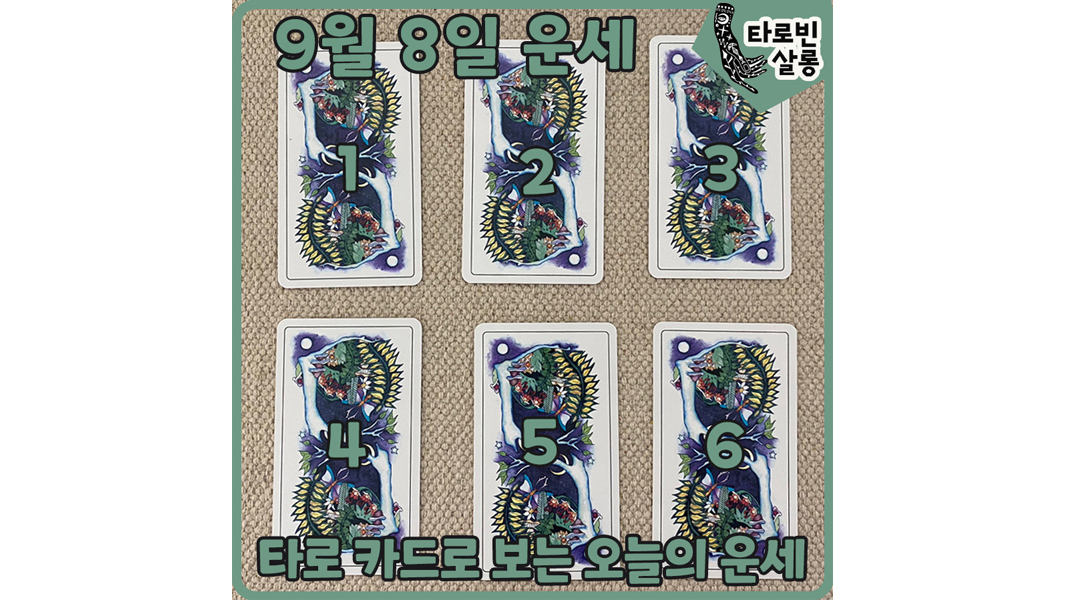  [9월 8일 운세] 타로 카드로 보는 365일 오늘의 운세