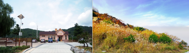  지자체 재난 지원금 지역별 지원내용