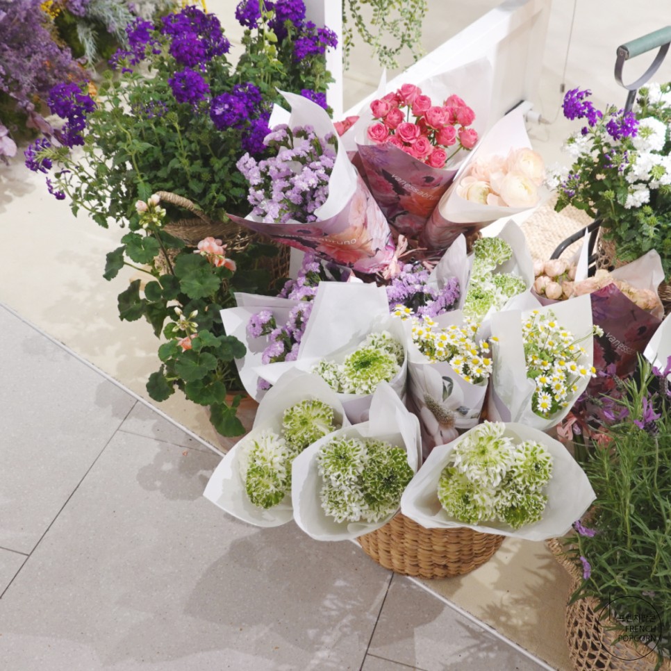 바네사 브루노 바네사브루노 카바스백 나들이 여자 15