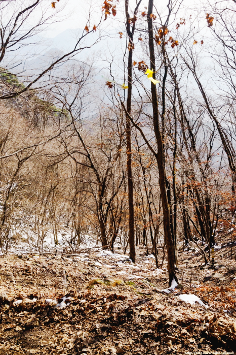 한국 명산 충북 보은 구병산 등산 mountain hiking