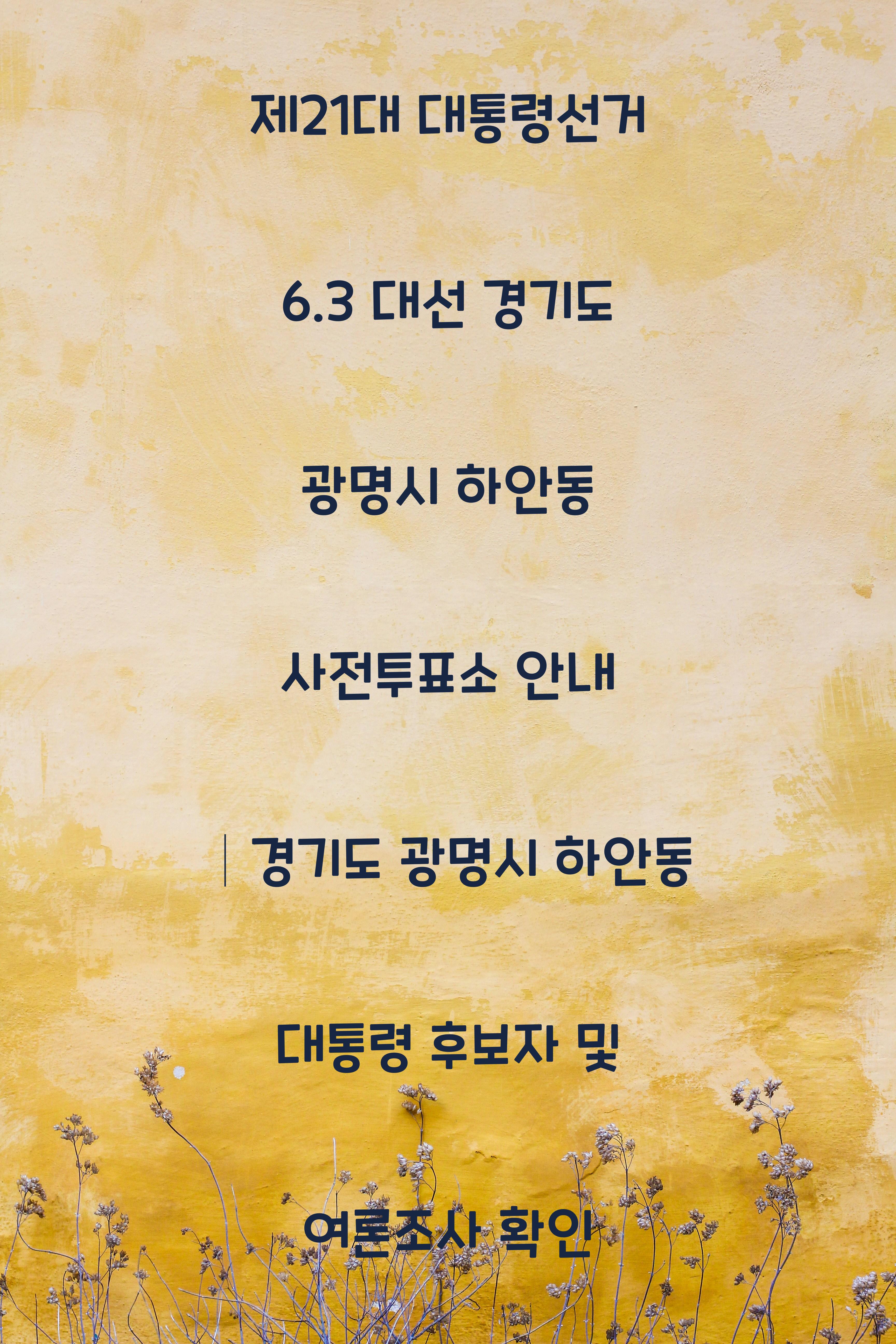 제21대 대통령선거 6.3 대선 경기도 광명시 하안동 사전투표소 안내 │경기도 광명시 하안동 대통령 후보자 및 여론조사 확인
