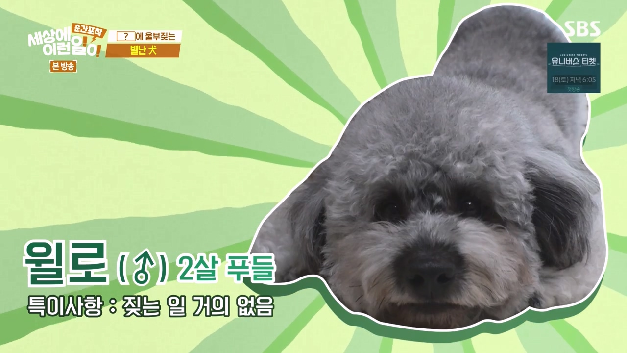 순간포착 세상에 이런일이.E1252.231112p-NEXT.mp4_20231112_163538.631.jpg