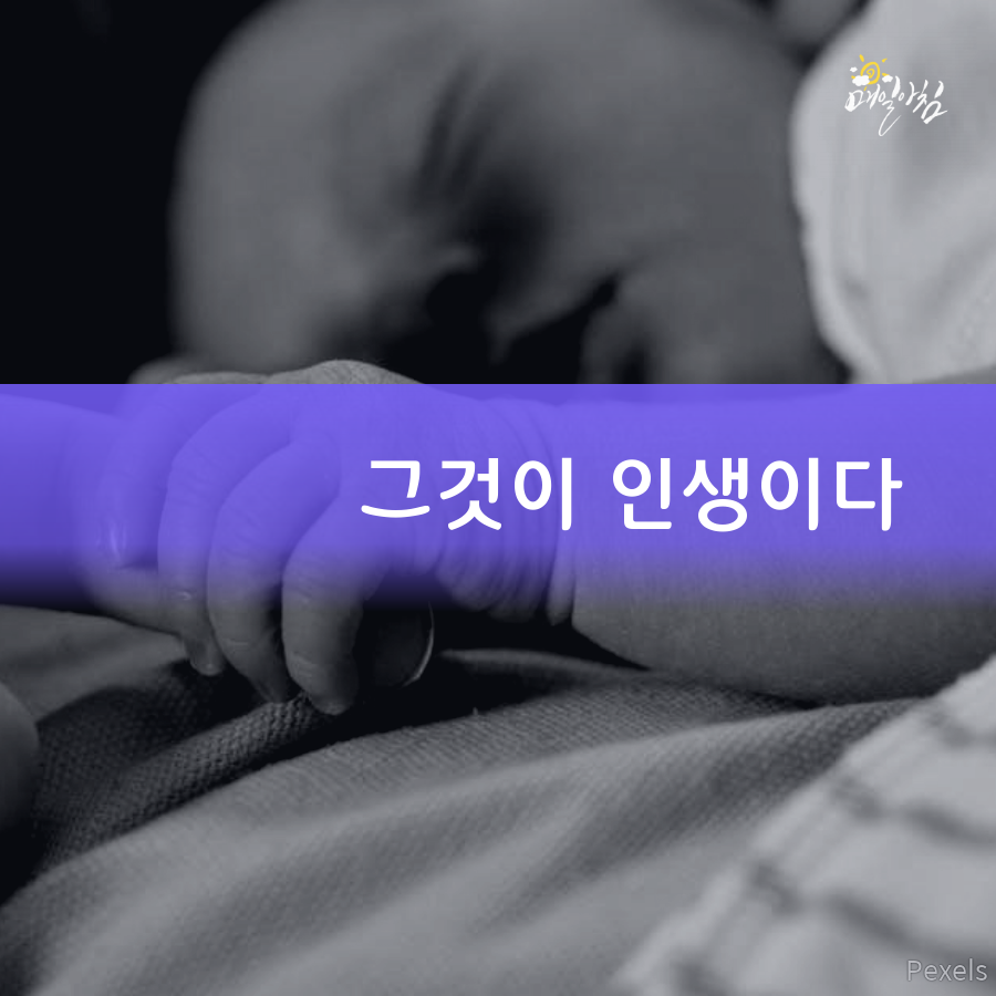  [매일아침좋은글] 그것이 인생이다