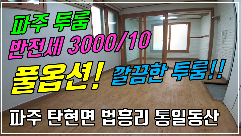  파주 탄현면 법흥리 투룸 반전세 3000/10만 풀옵션 개방감 좋고 거실 넓은 깔끔한 투룸, 통일동산 신세계아울렛 투룸 임대