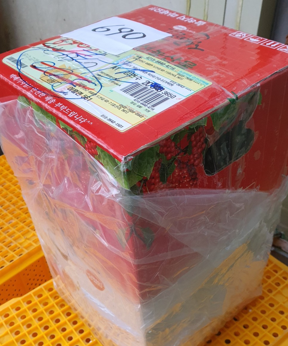 오미자의 오미자(五味子)가 남긴 2021년 6