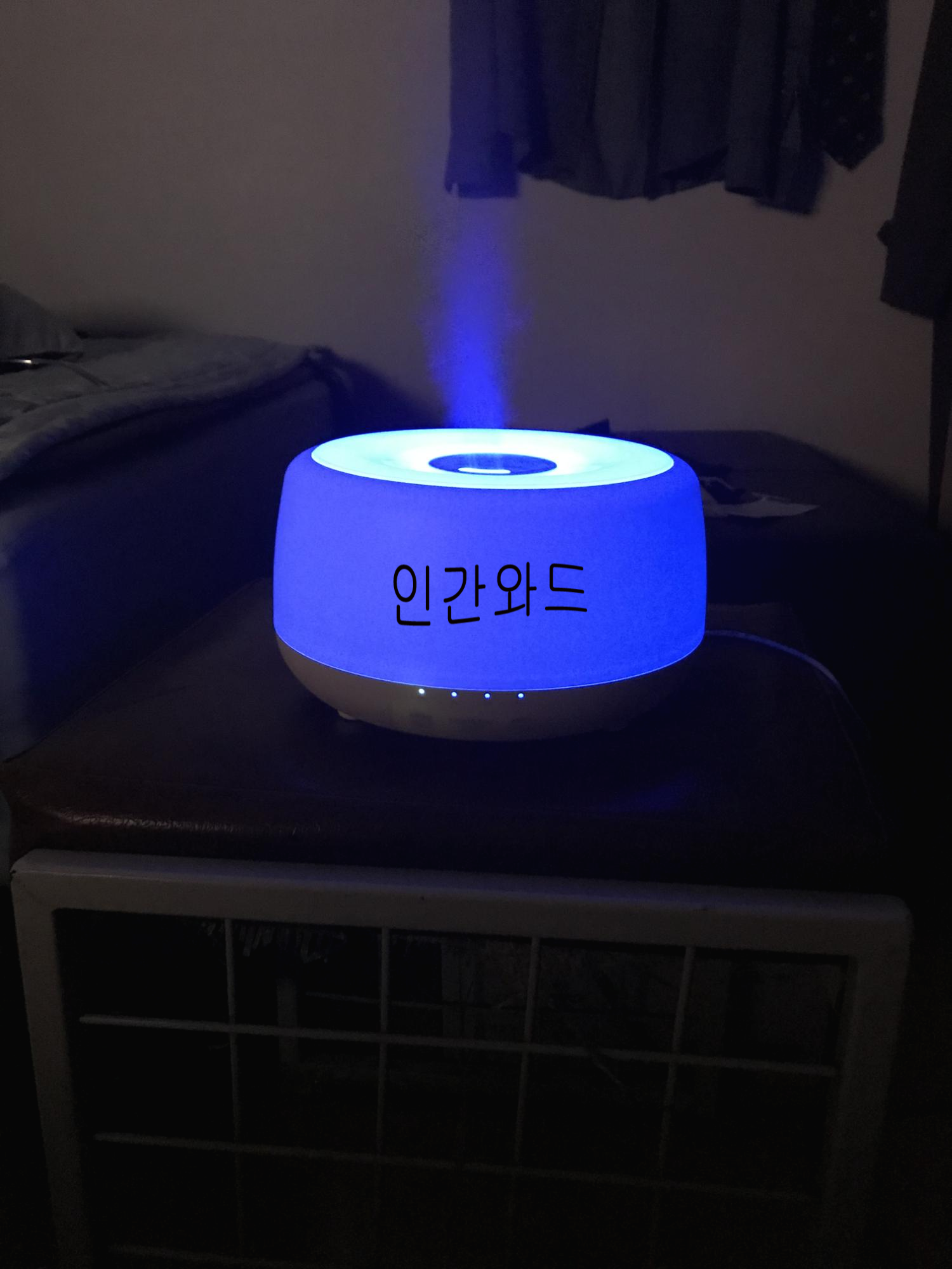  오아 네이처 800 미니 가습기 사용후기