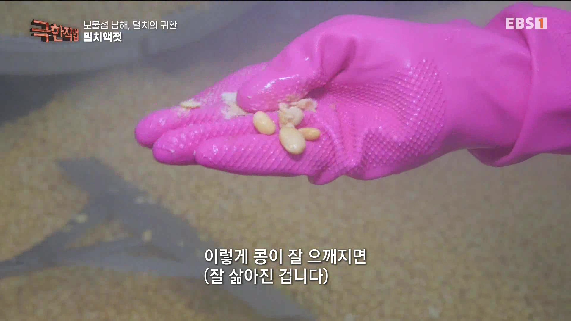 극한 직업 - 보물섬 남해, 멸치의 귀환 1080p.mp4_20230612_202048.802.jpg