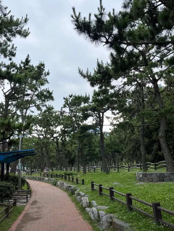 송림공원3