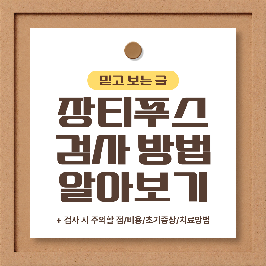  장티푸스 검사방법 알아보기