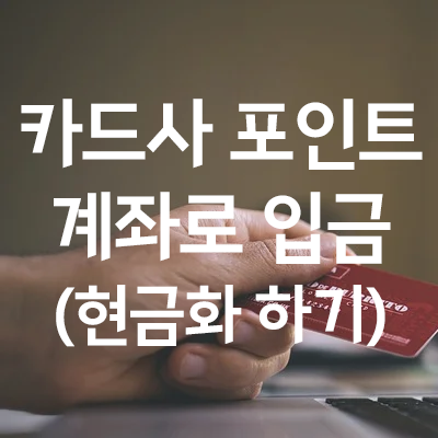  카드 포인트들 일괄 입금 받기 (포인트 현금화 하기)