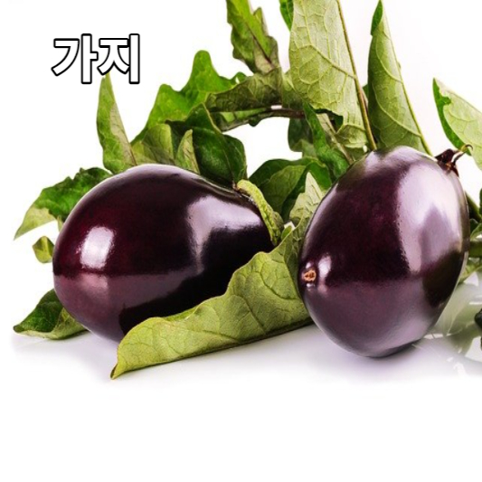 가지 효능